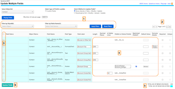 How to mass update custom fields in Salesforce? | BOFC