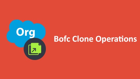 Bulk Clone Operations