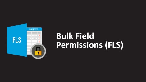 Bulk Field Permission