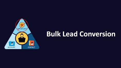 bulk-lead-conversion