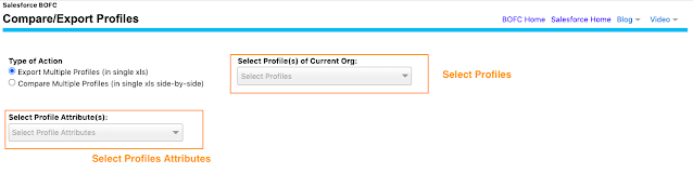 Select Profiles in each Org and Profile Attributes