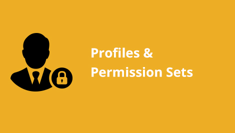 Profiles and Permissions Set