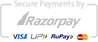 Razorpay-logo