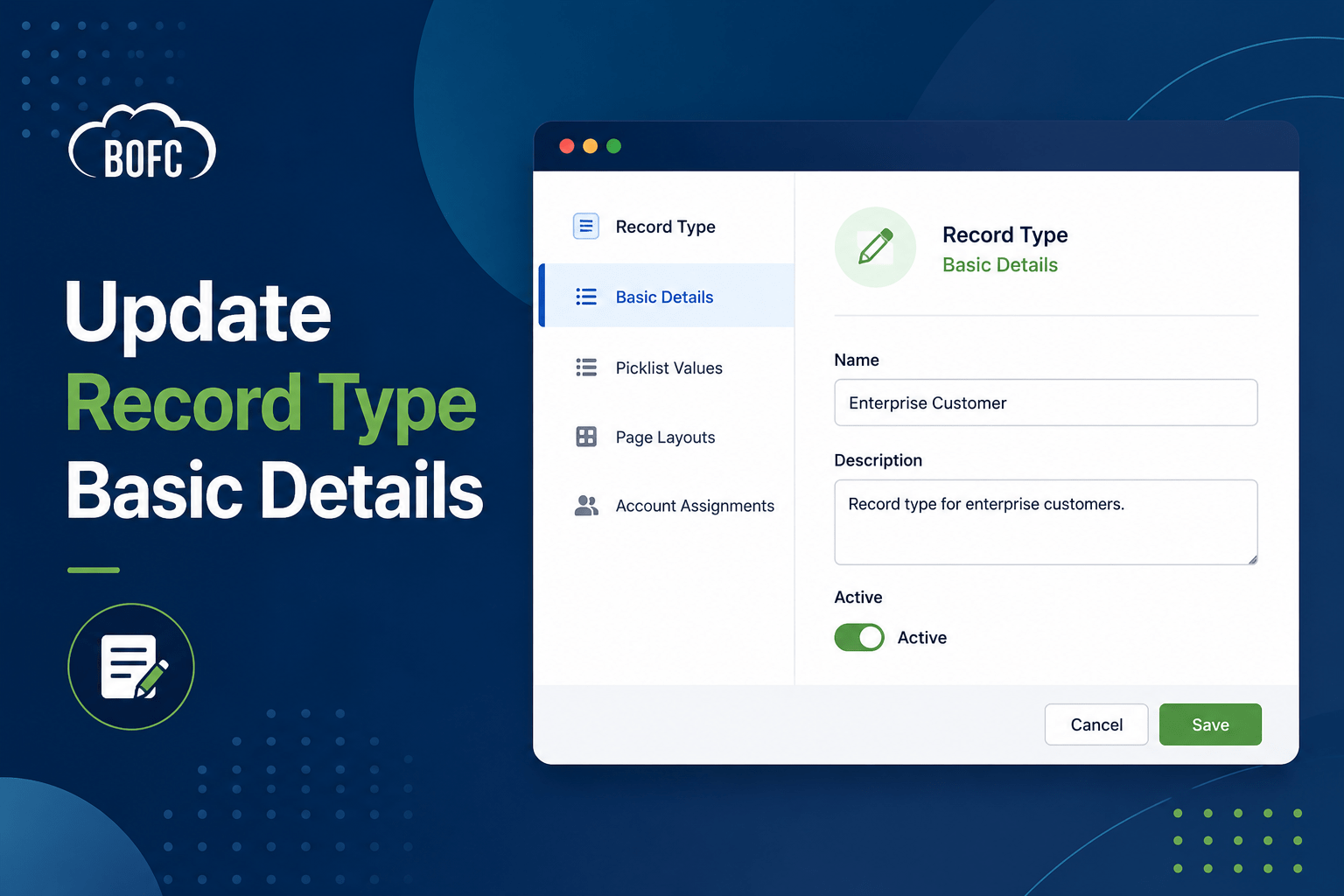 Update Record Type Basic Details