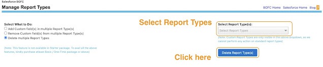Delete Report Type