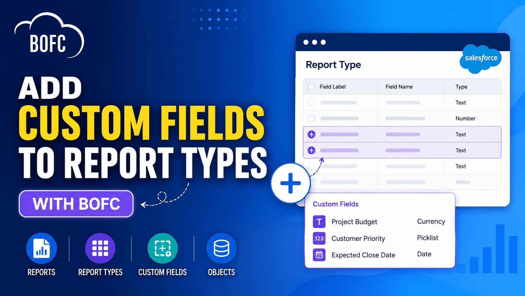 Add Custom Fields in Report Types