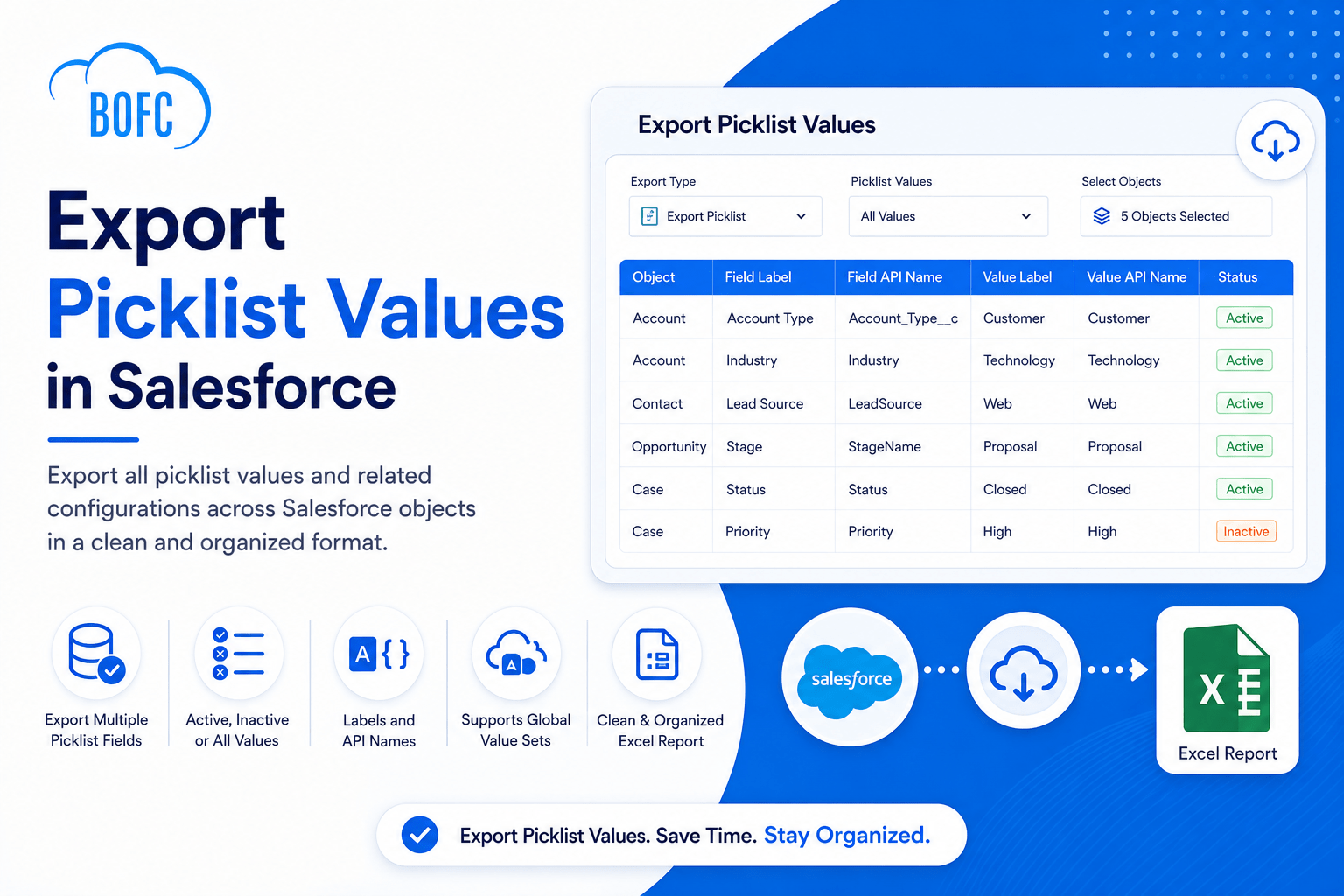 Export Picklist Values in Salesforce